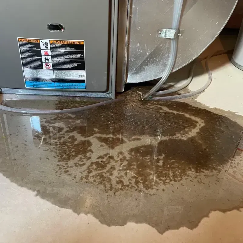 Appliance Leak Cleanup in San Bernardino County, CA